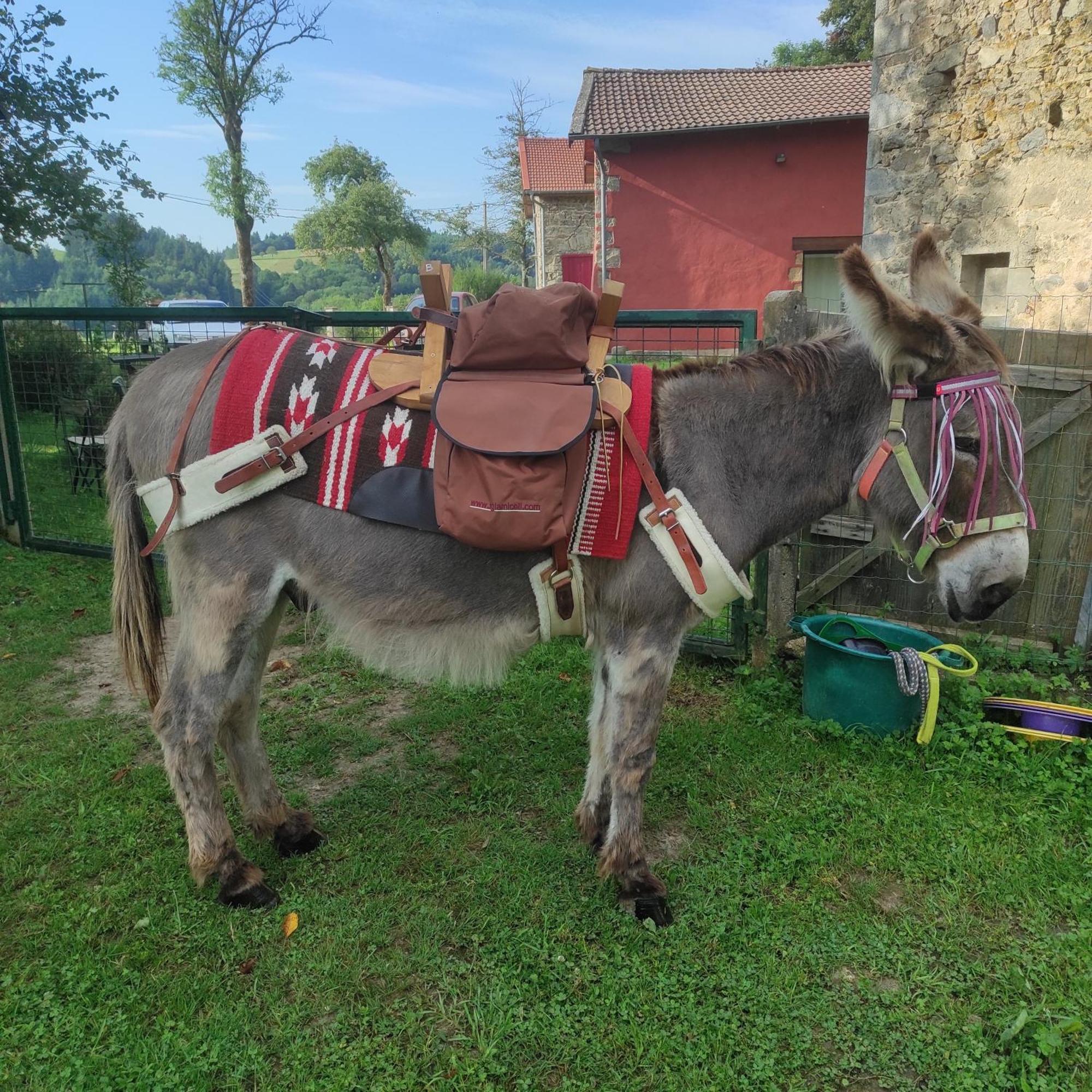 Gite La Roche Bertignat Buitenkant foto